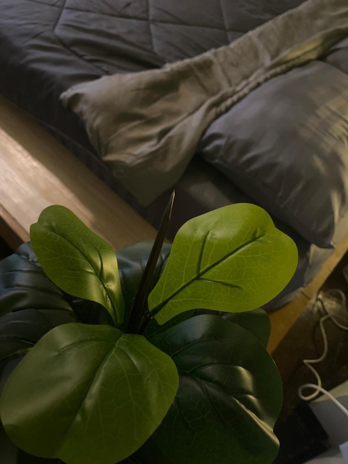 Rhythm Of Life Guesthouse 56 Bangkok Ngoại thất bức ảnh